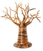 Baobab Tree