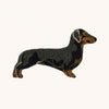 Dachshund Dog Rug