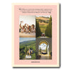Wine & Travel: Italy