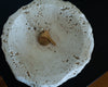 raw travertine plate at details by mr k