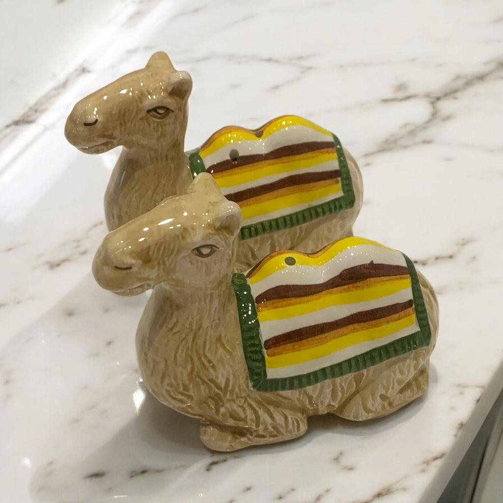 Fantasy Salt & Pepper Shakers