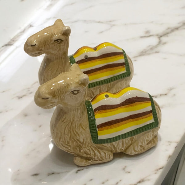 Fantasy Salt & Pepper Shakers