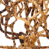 Baobab Tree