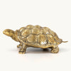 cameron brass turtle at details by mr k