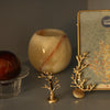Marie Coral Card Holder