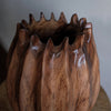 Tulip Vessel - Nature