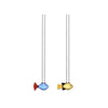 Marine Garden Glass Straws Set of 2