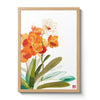 Orchid - n. 02 Vanda Betty Mae Steel