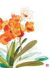 Orchid / Chris Chun