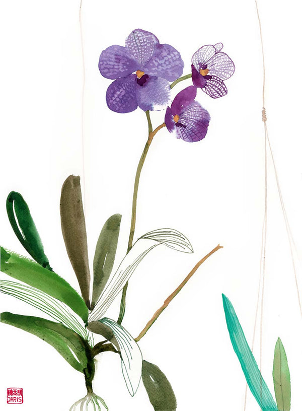 Orchid / Chris Chun