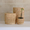 Porcupine Basket