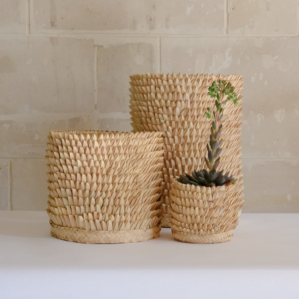 Porcupine Basket