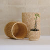 Porcupine Basket