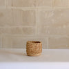 Porcupine Basket