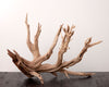Sandblasted Ghostwood