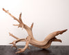 Sandblasted Ghostwood