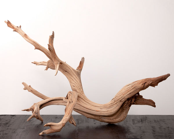 Sandblasted Ghostwood