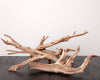 Sandblasted Coralwood