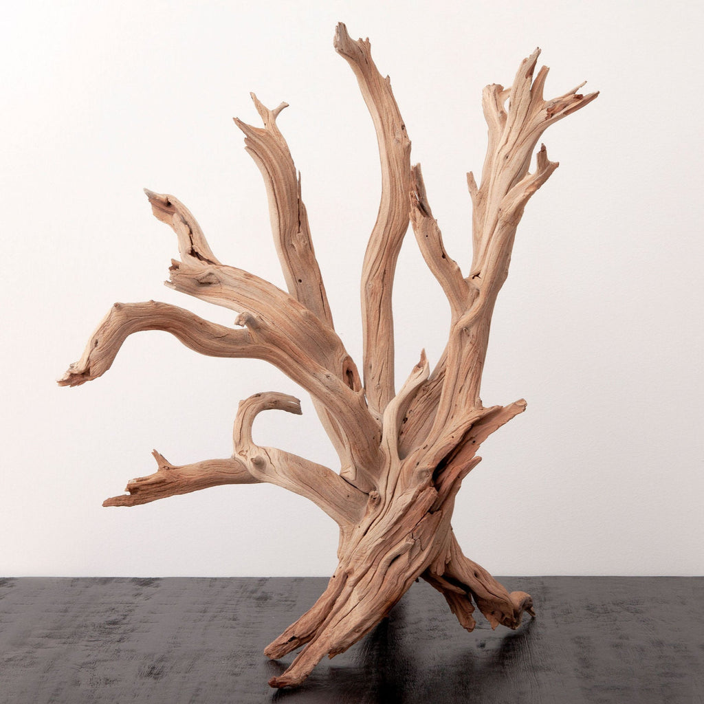 Sandblasted Ghostwood