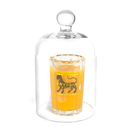 Glass Perfumiere Cover | JR Reborn