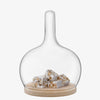 Cloche Dome 25
