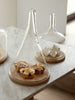 Cloche Dome 25