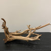 Sandblasted Coralwood