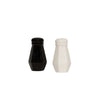 Duo Salt & Pepper Shaker
