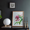 orchids by chris chun at details by mr k