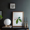 orchid watercolor by chris chun at details by mr k