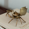 colette brass crab at details by mr k