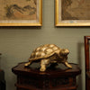 Cameron Brass Turtle