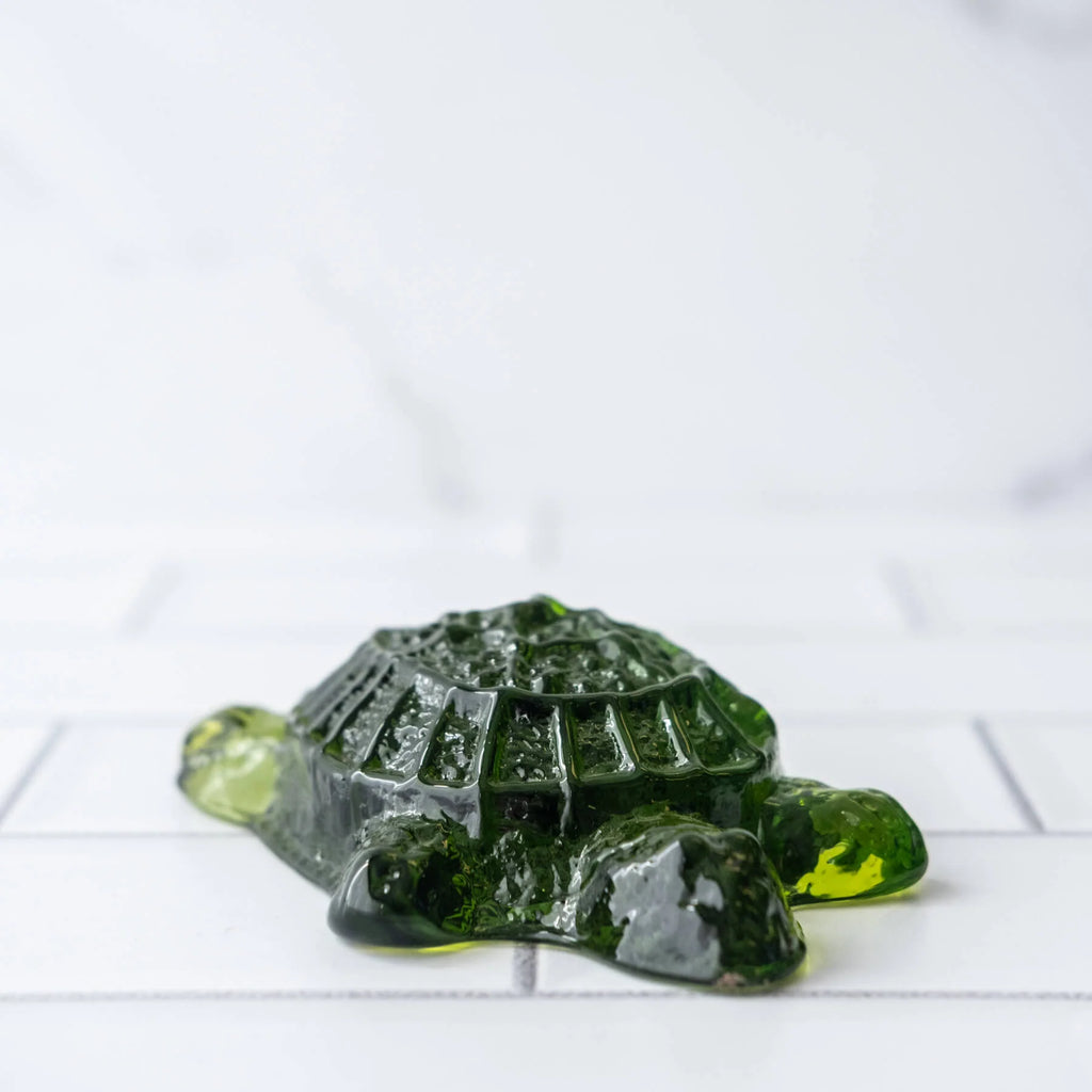 Turtle Paperweight