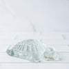 Turtle Paperweight