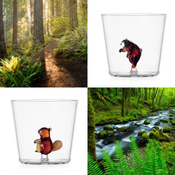 Woodland Tales Tumbler