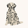 Dalmatian Dog Rug