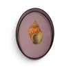 Handpainted Iron Tray - Shell