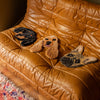 French Bulldog Head Rug