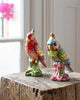 colorful parrot couple at details by mr k
