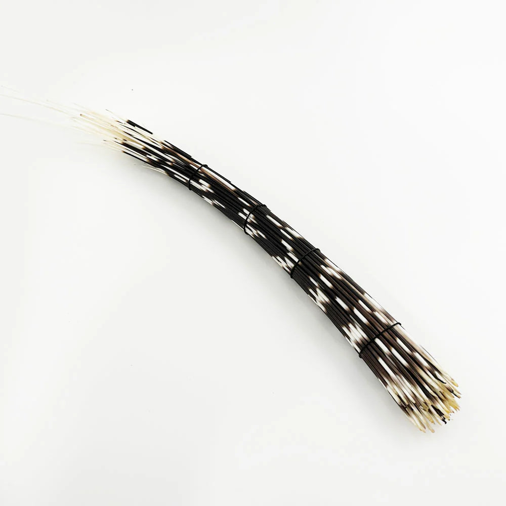 Porcupine Quill Set