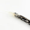 Porcupine Quill Set