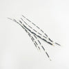Porcupine Quill Set