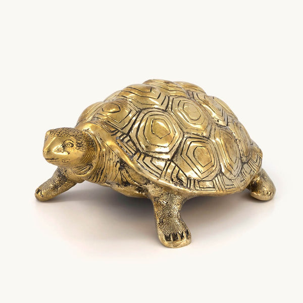 Cameron Brass Turtle