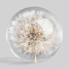 Botanical Paperweight - Dandelion