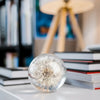 Botanical Paperweight - Dandelion