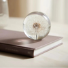 Botanical Paperweight - Dandelion