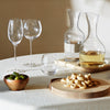 Water & Wine Carafe Set