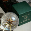 Botanical Paperweight - Goatsbeard