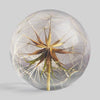 Botanical Paperweight - Goatsbeard