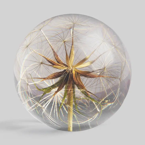 Botanical Paperweight - Goatsbeard